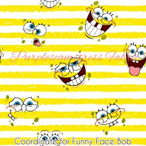 Coordinate for Funny Face Bob - Fabric
