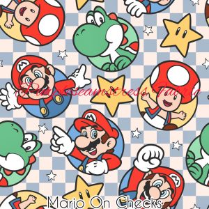 Mario on Checks