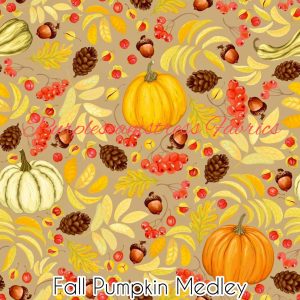 Fall Pumpkin Medley - Fabric