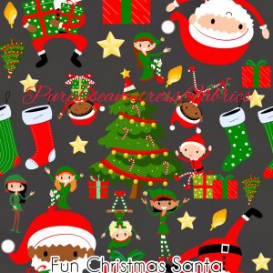 Fun Christmas Santa - Fabric