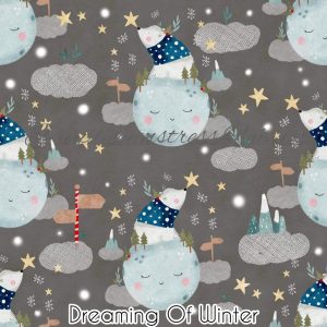 Dreaming of Winter - Fabric