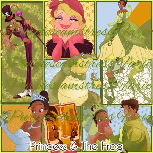 Princess & The Frog - Fabric