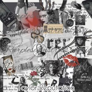 Taylor Reputation - Fabric