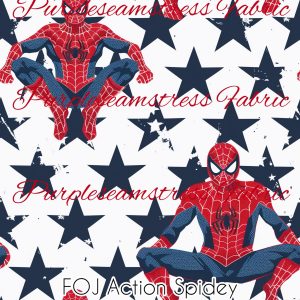 FOJ Action Spidey
