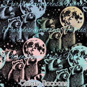 Galaxy Raccoons - Fabric