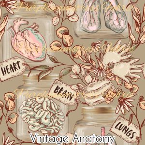 Vintage Anatomy - Fabric