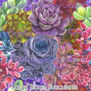 Large Bloom Succulents - Fabric
