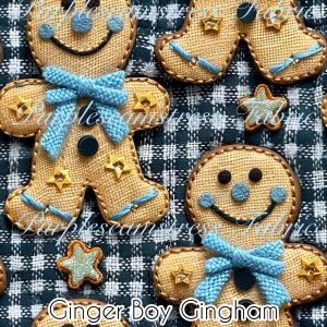 Ginger Boy Gingham - Fabric