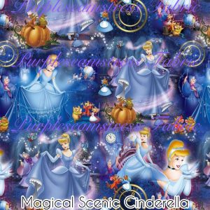 Magical Scenic Cinderella