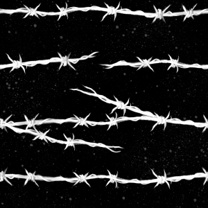 B&W Barbed Wire - Fabric