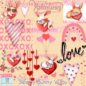 Sleepy Bunny Vday