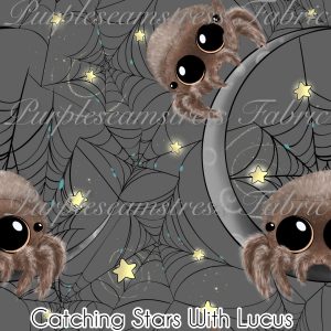 Catching Stars with Lucus