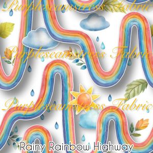 Rainy Rainbow Highway