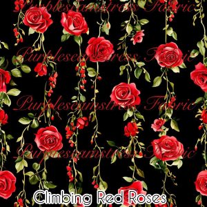 Climbing Red Roses