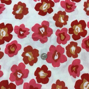 Cute Salmon Flowers on White