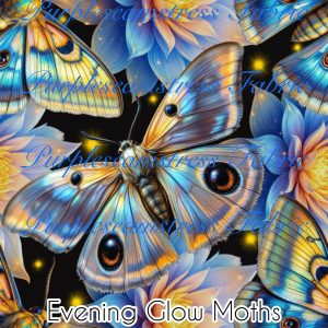 Evening Glow Moths