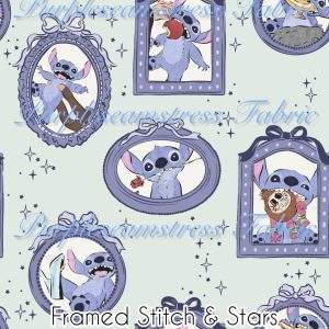 Framed Stitch & Stars - Fabric
