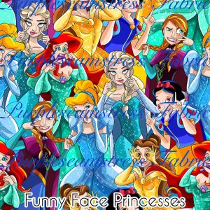 Funny Face Princesses