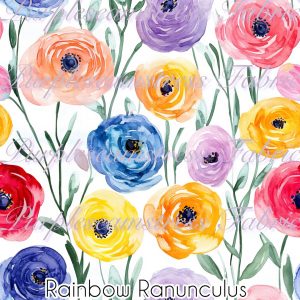 Rainbow Ranunculus