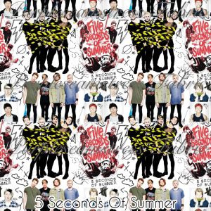5 Seconds of Summer - Fabric