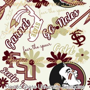Florida State University Seminoles - Fabric