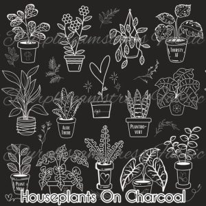 Houseplants on Charcoal