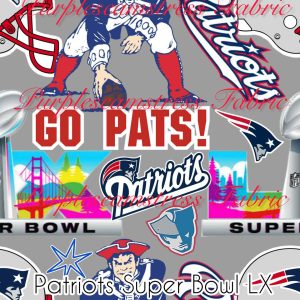 Patriots Super Bowl LX - Fabric
