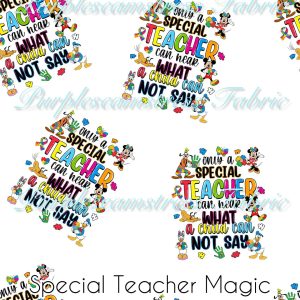 Special Teacher Magic - Fabric
