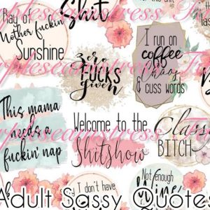Adult Sassy Quotes - Fabric
